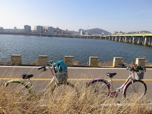 騎腳踏車遊盤浦漢江公園(반포한강공원)