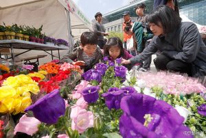 首爾廣場，「春季花草集市開張了」