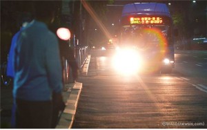 首爾市將在江南、弘大營運「年末限定」貓頭鷹公車
