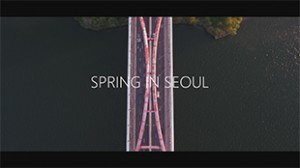 首爾之春縮時攝影影片