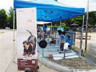 首爾市舉辦「和小狗一同秋季郊遊趣」