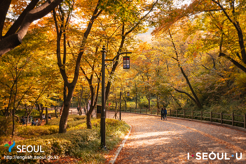 首爾的秋日風光，南山公園