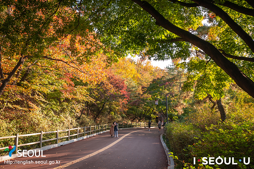 首爾的秋日風光，南山公園