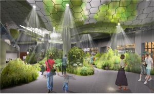 首爾市鐘閣站閒置地下空間改造為「太陽光庭園」