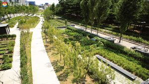 首爾市京春線林道6km全段開放