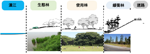漢江
生態林
使用林
緩衝林
道路