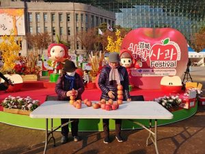 舉辦慶尚北道蘋果節