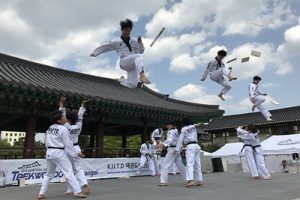 韓國跆拳道再次驚豔全球，2020首爾市線上跆拳道表演