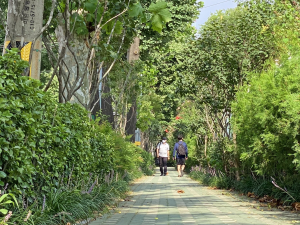 首爾市選定68個地點，種植40萬棵多層式植栽打造林蔭街，降低懸浮微粒並提升步行便利性
