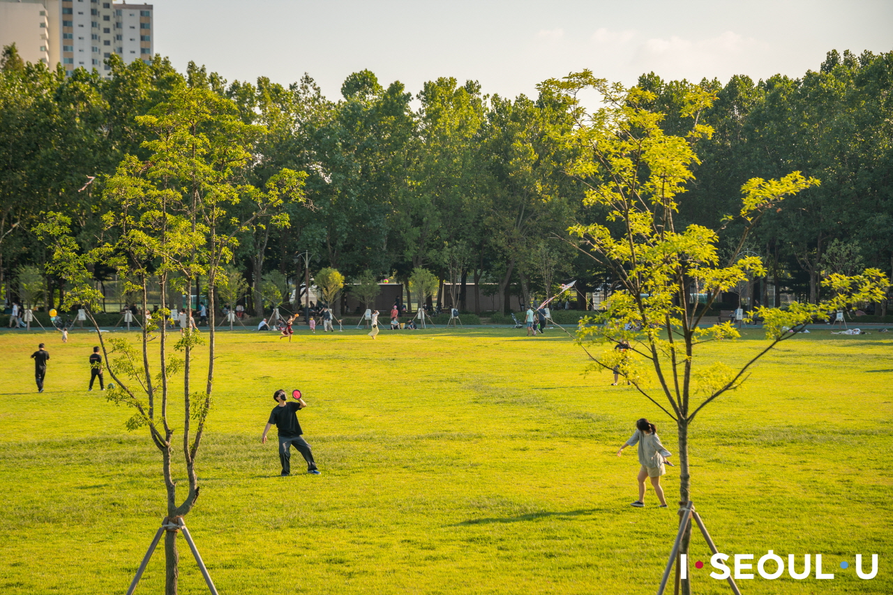 在波拉美公園裡玩傳接球的人們