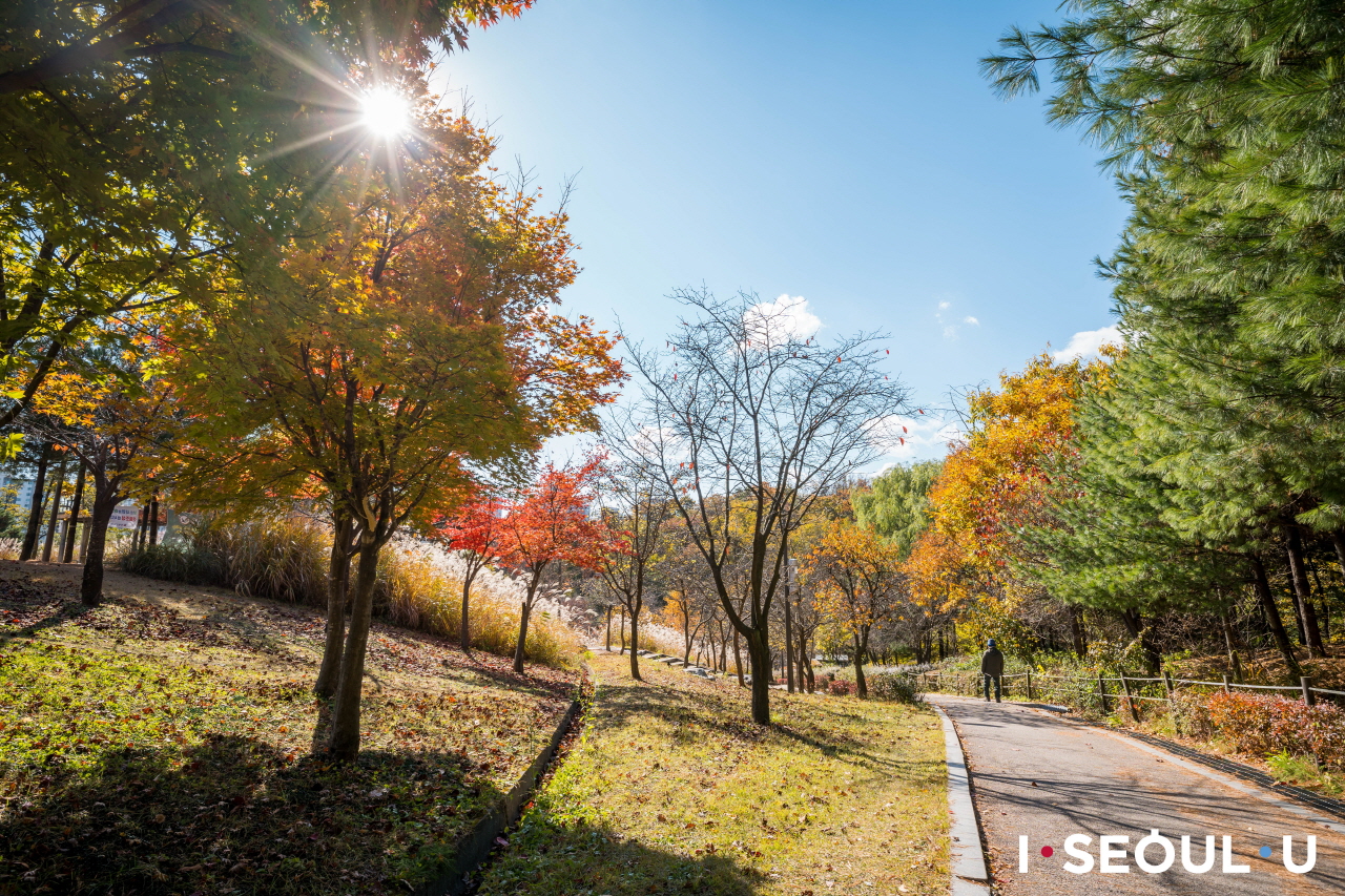 和煦暖和的秋陽下，烽燧臺公園散步道
