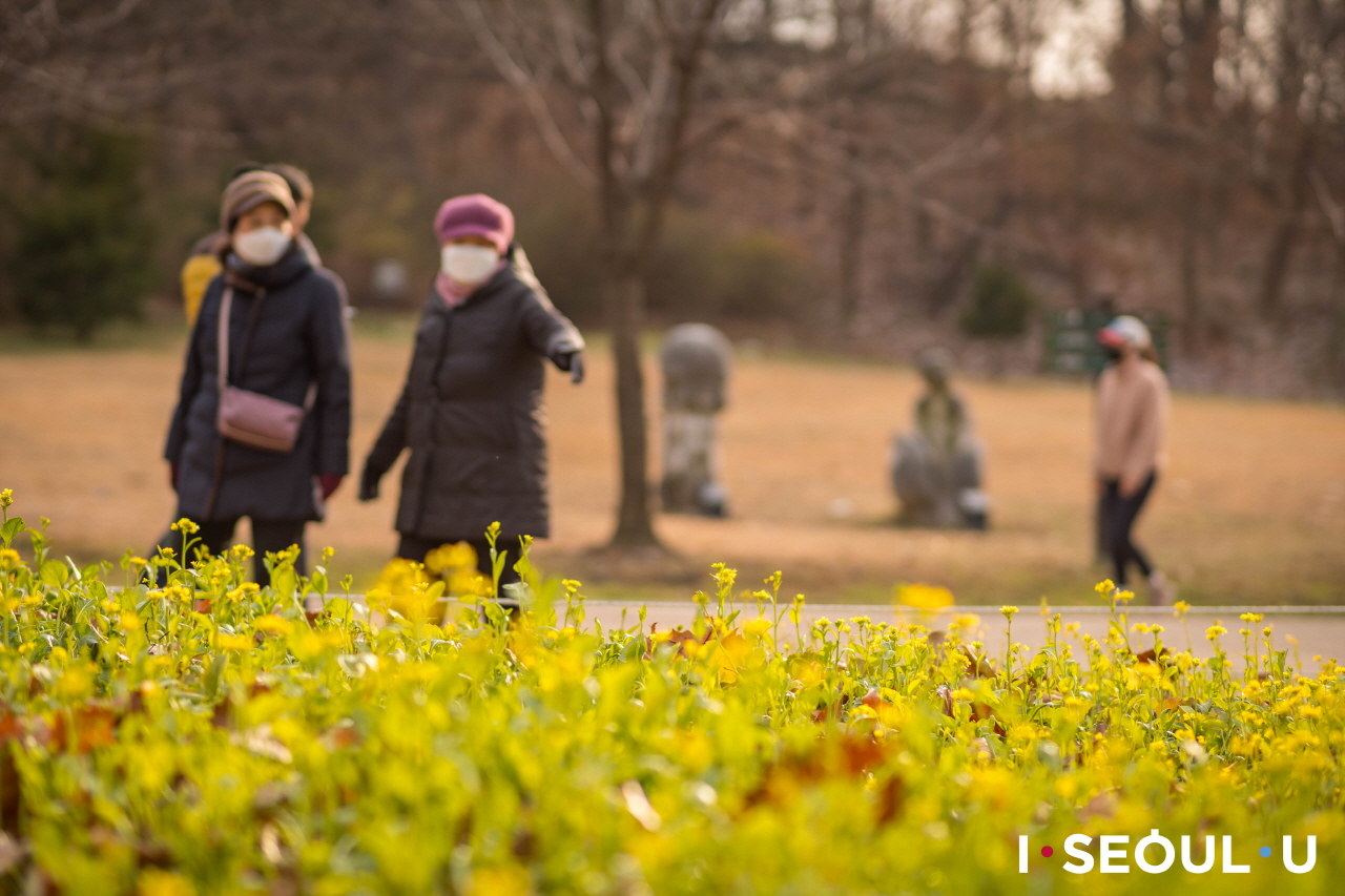 正在欣賞首爾兒童大公園散步道旁野花的人們