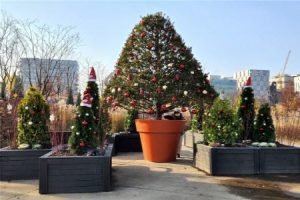 來到首爾植物園「冬季庭園」感受與眾不同的聖誕節