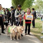 首爾寵物狗巡邏隊建隊儀式-2