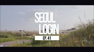 [Seoul Login] EP.41 Haneul Park Silver grass