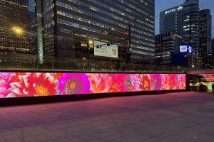 光化門廣場HECHI廣場，將鋪一條閃閃發亮的花路，以「開花」為主題的媒體藝術