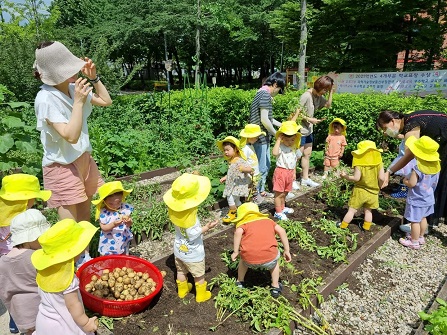 共同體菜園活動