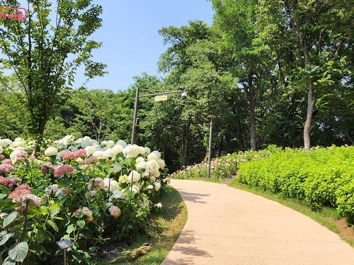 楚安山近鄰公園