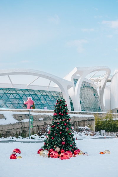 首爾植物園戶外雪景