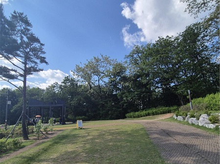 楚安山天空花公園（道峰區）