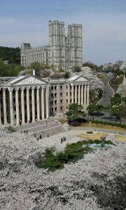首尔庆熙大学樱花