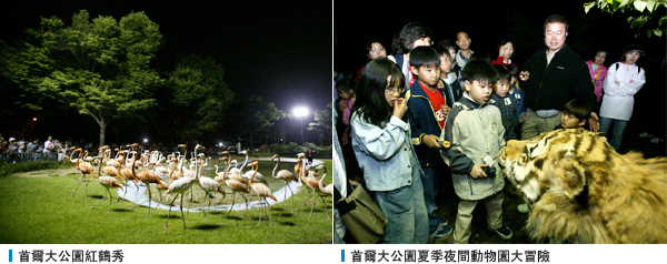  首爾大公園紅鶴秀 , 首爾大公園夏季夜間動物園大冒險
