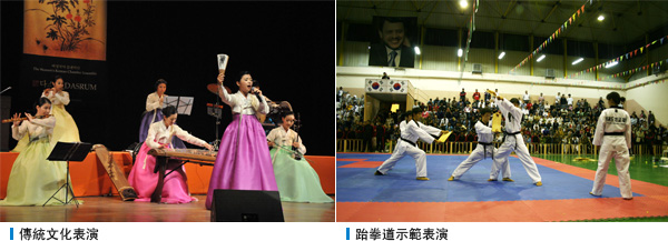 傳統文化表演, 跆拳道示範表演