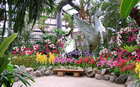 首爾動物園植物園舉行“春季賞花節”特別展