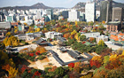 [朴元淳的希望日記136] 首爾市最美風景願與大家分享